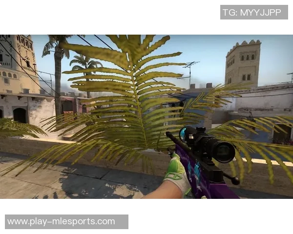 s15电竞总决赛张丽深度解析CSGO战术与技巧分享