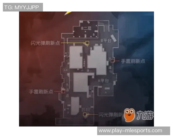 深入解析CSGOEDG战术体系与团队协作的成功秘诀